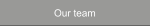 Our team